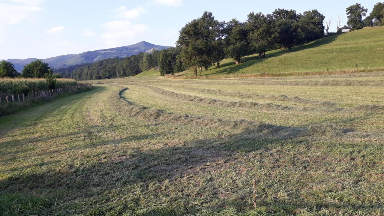 Tente Safari Lodge Ferme Carrique Tardets-Sorholus Zewnętrze zdjęcie